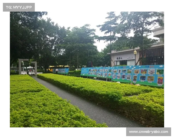 厦门青少年锦标赛试行沙滩场地低龄组别取消扑搂措施以降低受伤风险 厦门青少年锦标赛试行沙滩场地低龄组别取消扑搂措施以降低受伤风险